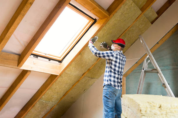 Best Basement Insulation  in Warren, IL