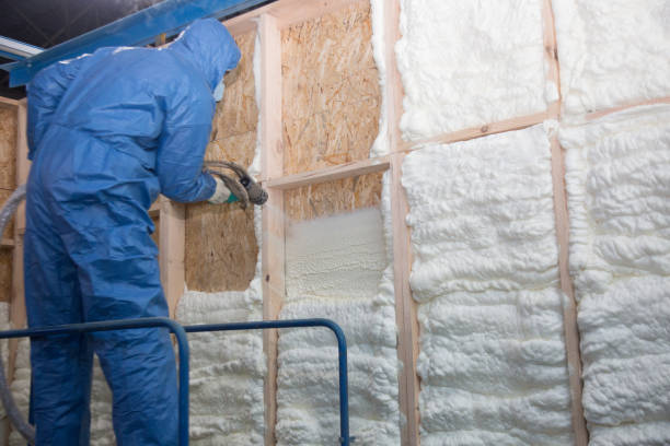 Best Fireproof Insulation  in Warren, IL